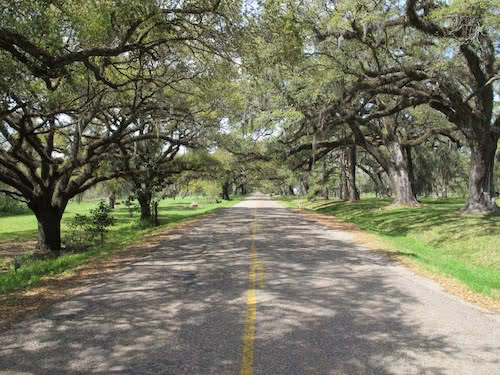 Walking Across America 2